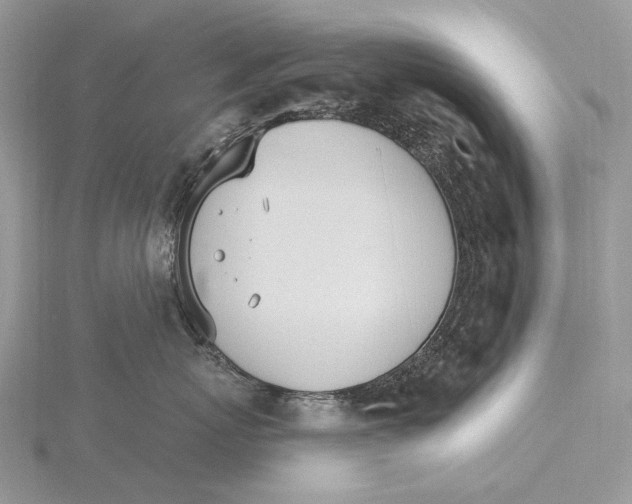 X0000115650767200912081125