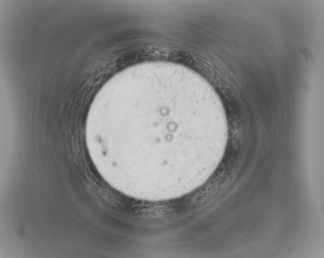 X0000115650769200912081124