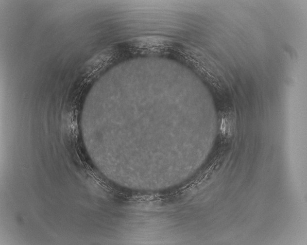 X0000115650771200912081124