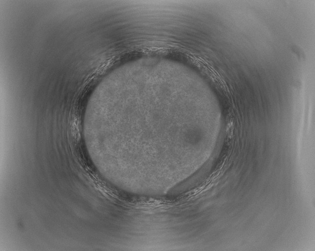 X0000115650772200912081124