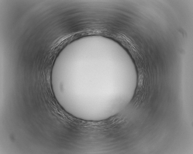 X0000115650773200912081124