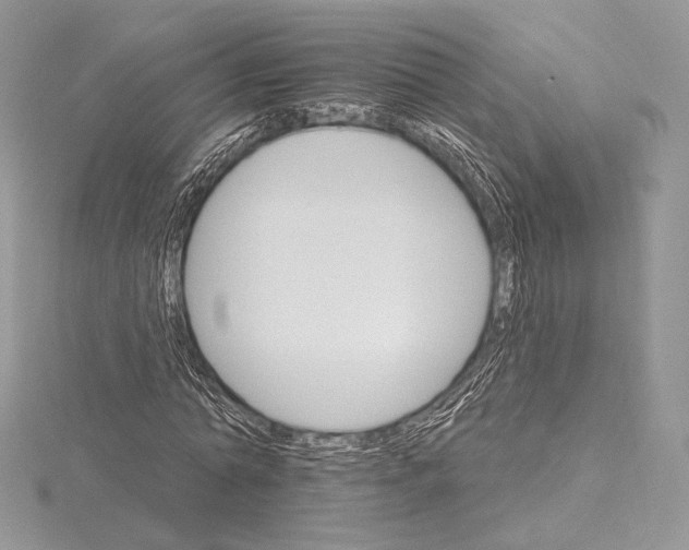 X0000115650774200912081124