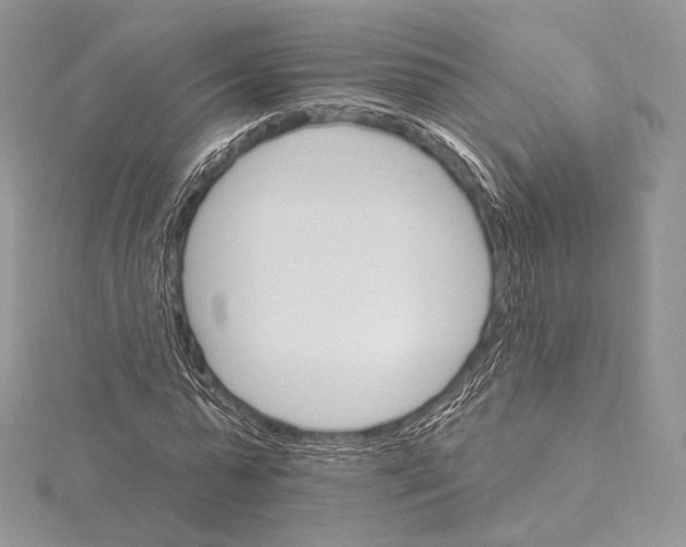 X0000115650775200912081124