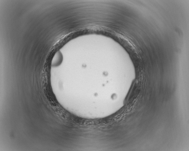 X0000115650776200912081124