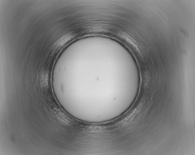 X0000115650777200912081124