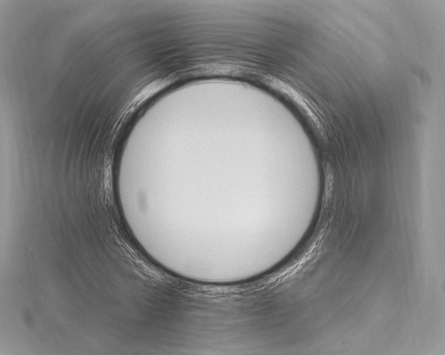 X0000115650778200912081124