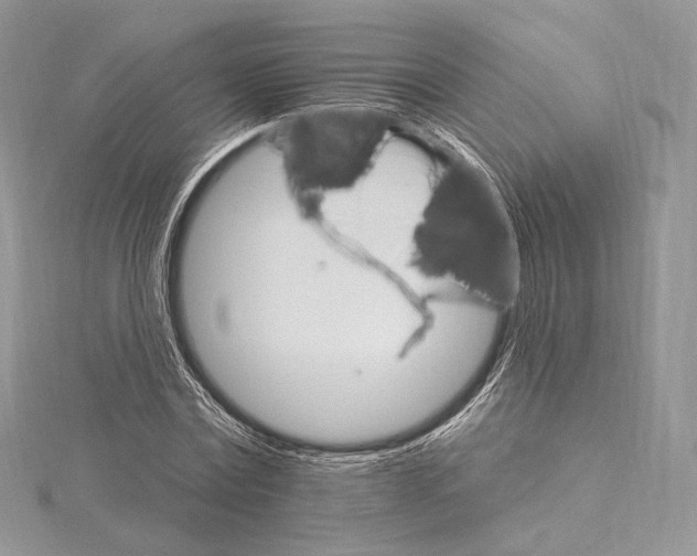 X0000115650779200912081124