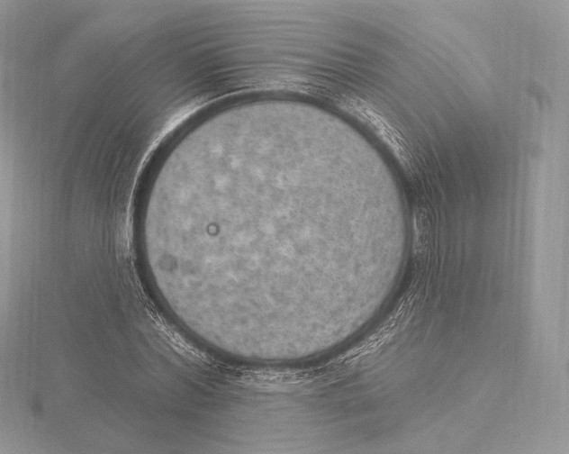 X0000115650780200912081124