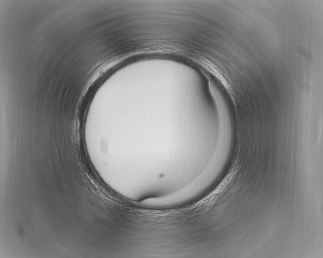 X0000115650781200912081124