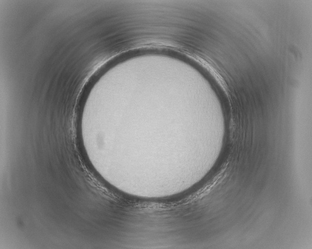 X0000115650783200912081124