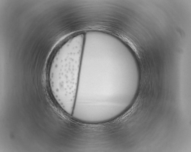 X0000115650784200912081124