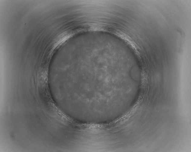 X0000115650785200912081124