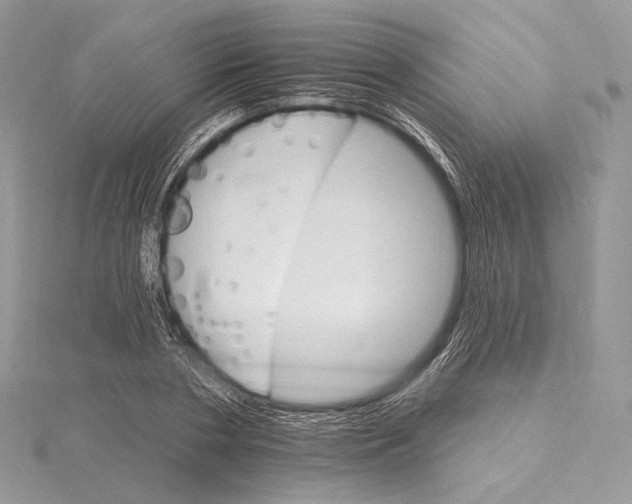 X0000115650786200912081124