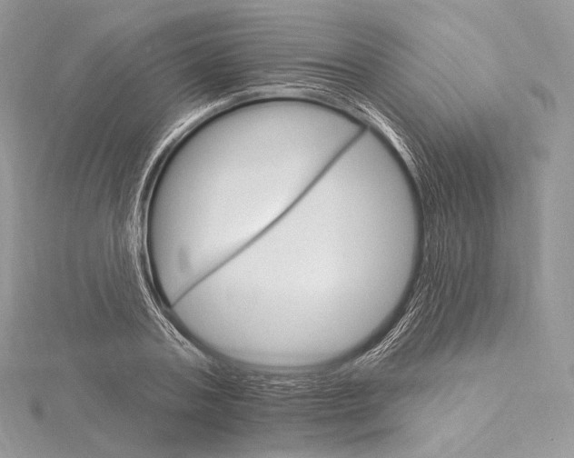 X0000115650787200912081124