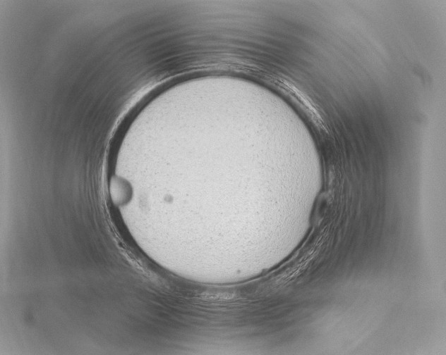 X0000115650788200912081124