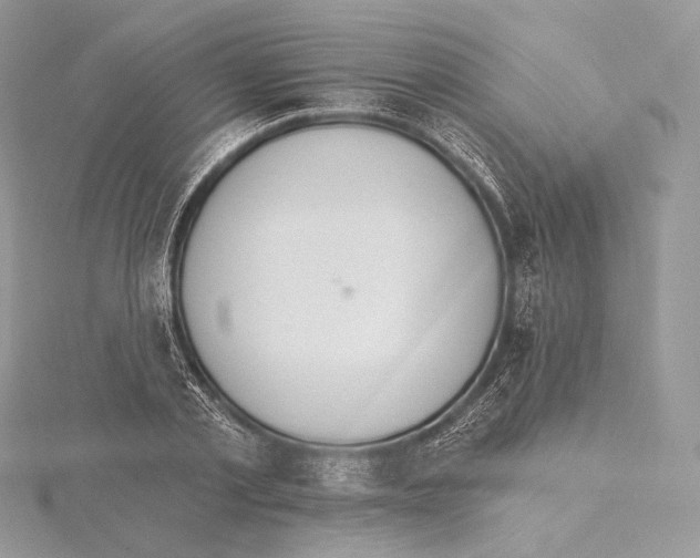 X0000115650789200912081124