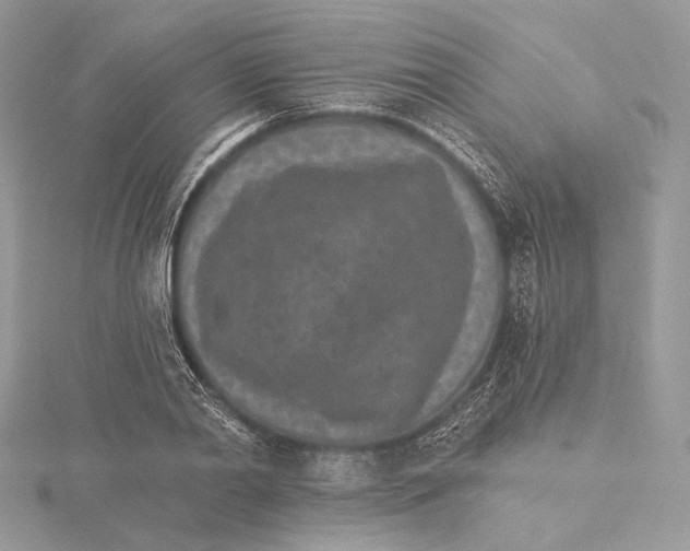 X0000115650790200912081124