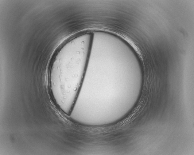 X0000115650791200912081124