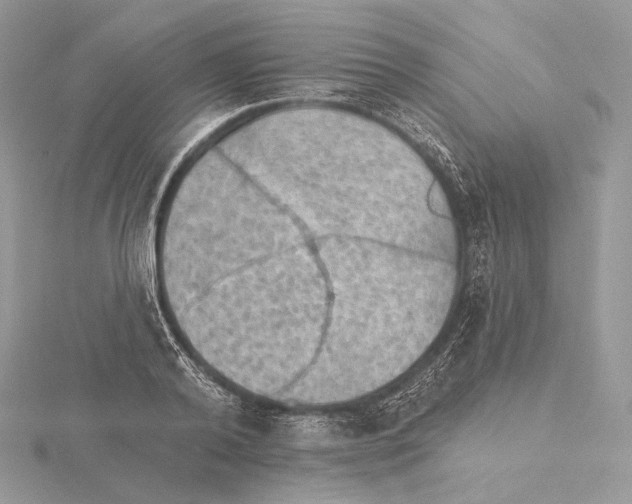 X0000115650792200912081124