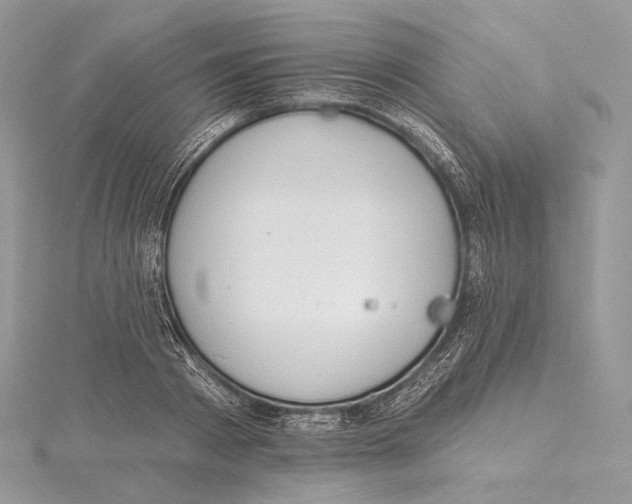 X0000115650793200912081124