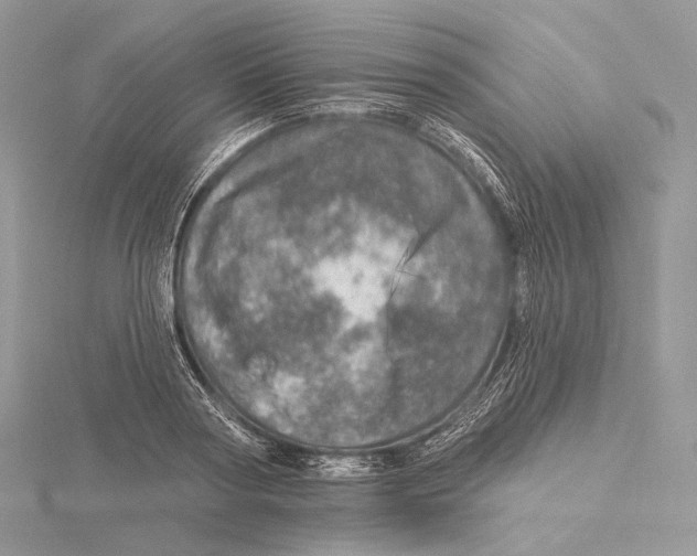 X0000115650794200912081124