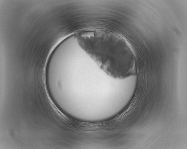 X0000115650795200912081124