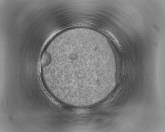 X0000115650796200912081124