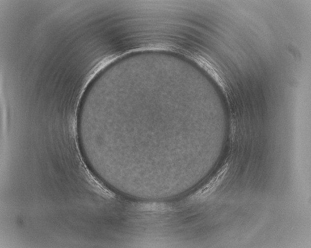 X0000115650797200912081124