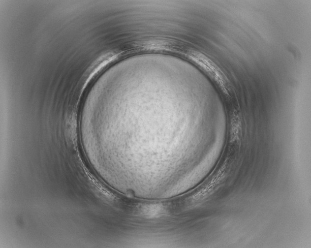 X0000115650798200912081124