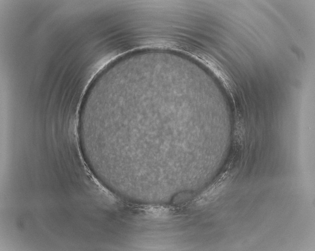 X0000115650799200912081124