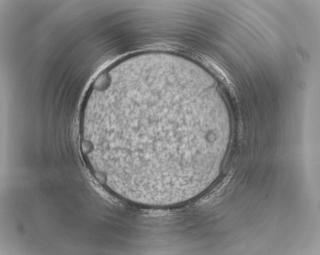 X0000115650800200912081124