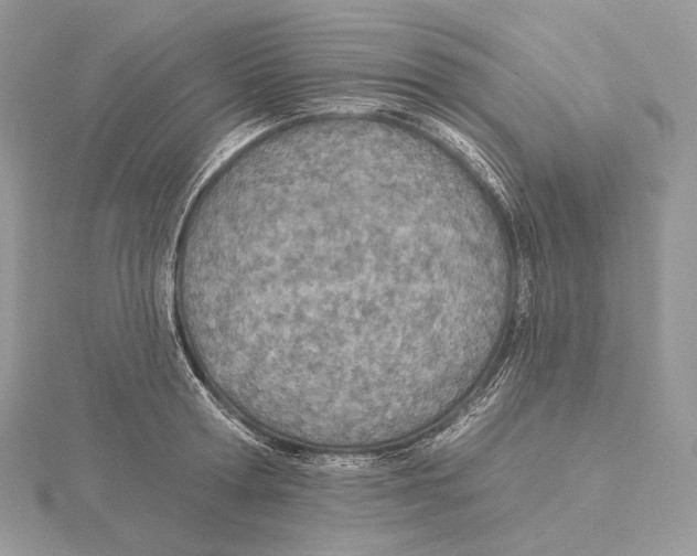 X0000115650802200912081124