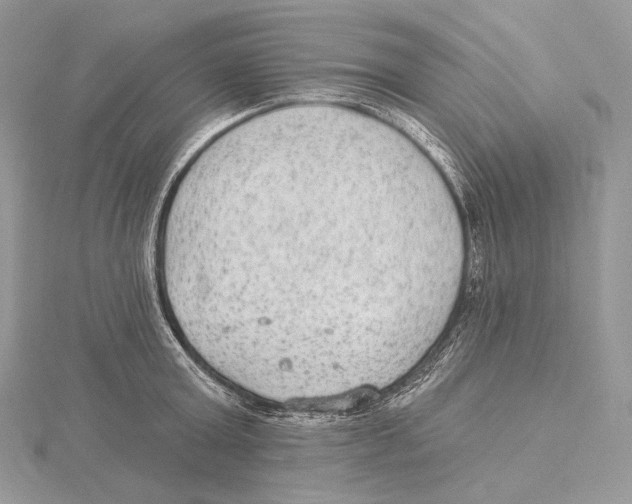 X0000115650803200912081124