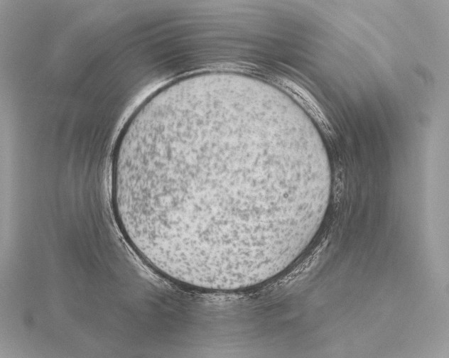 X0000115650804200912081124