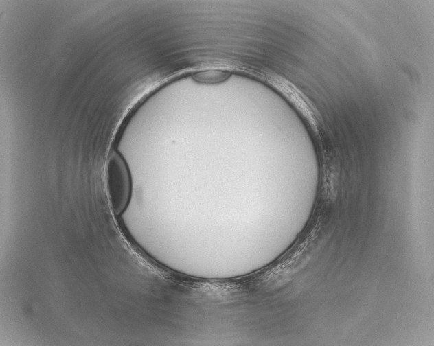 X0000115650805200912081124