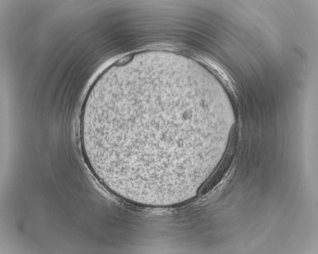 X0000115650808200912081124