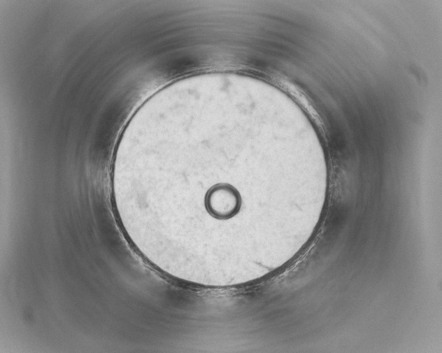 X0000115650810200912081124