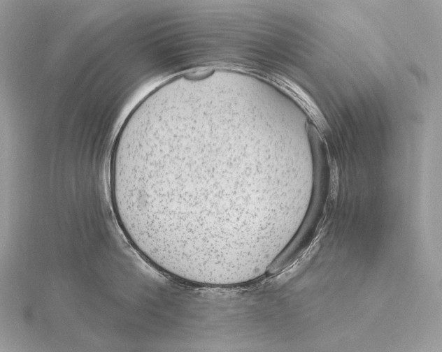 X0000115650812200912081124