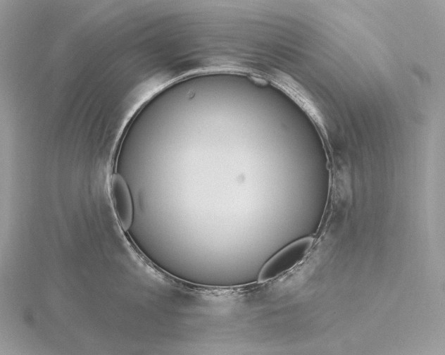 X0000115650813200912081124