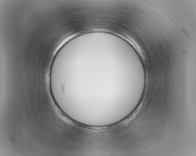 X0000115650814200912081124