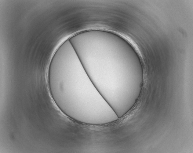 X0000115650815200912081124