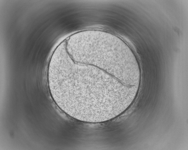 X0000115650816200912081124