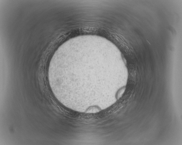 X0000115650817200912081123