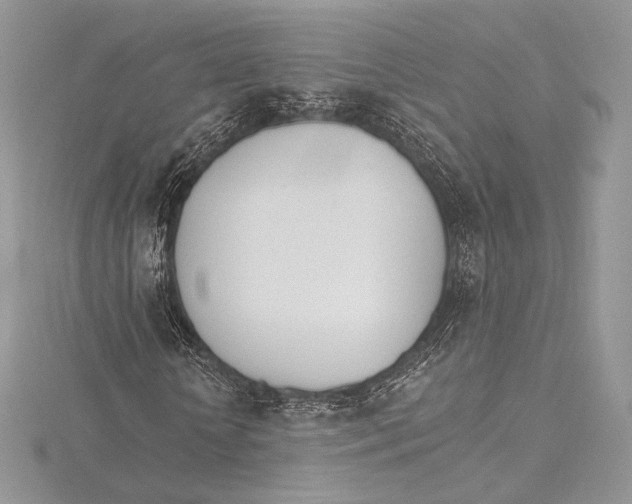 X0000115650818200912081123