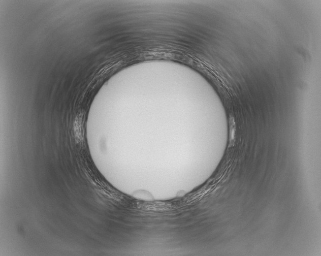 X0000115650819200912081123