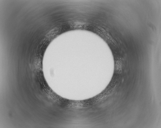 X0000115650820200912081123