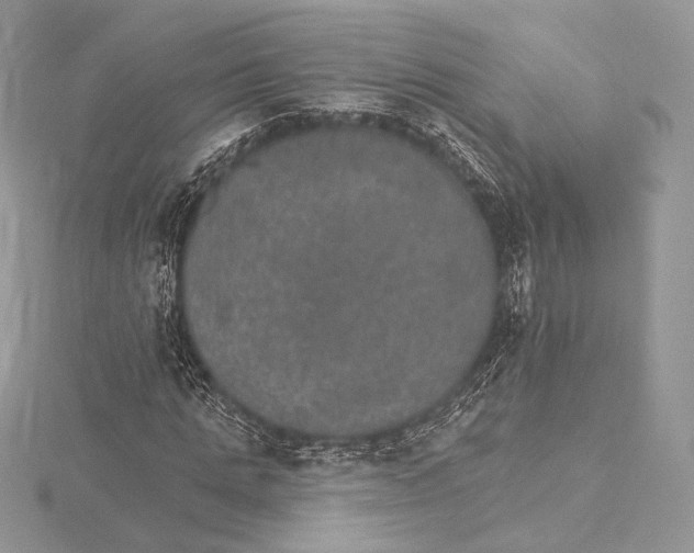 X0000115650821200912081123