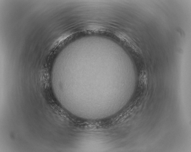 X0000115650822200912081123