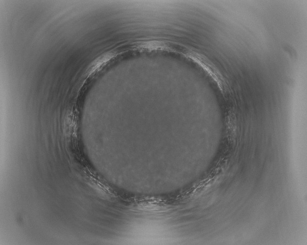 X0000115650823200912081123