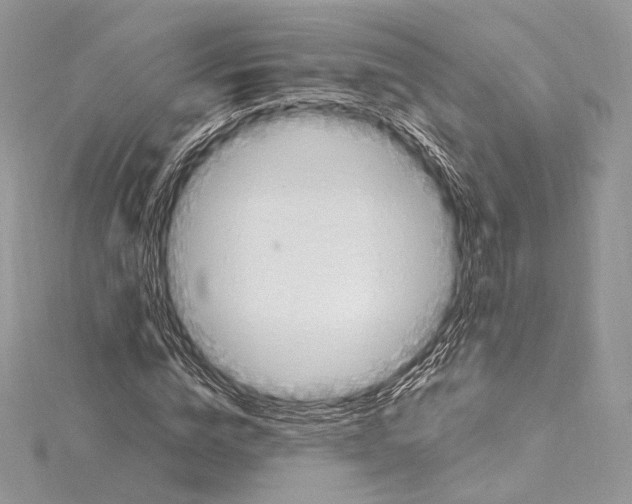 X0000115650824200912081123